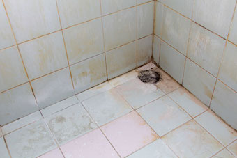 clean mould in bathroom