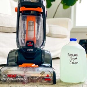 natural carpet steam cleaning solution